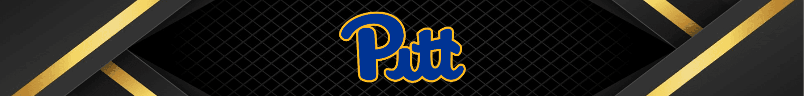 Pittsburgh Panthers Banner