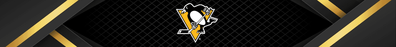 Pittsburgh Penguins Banner